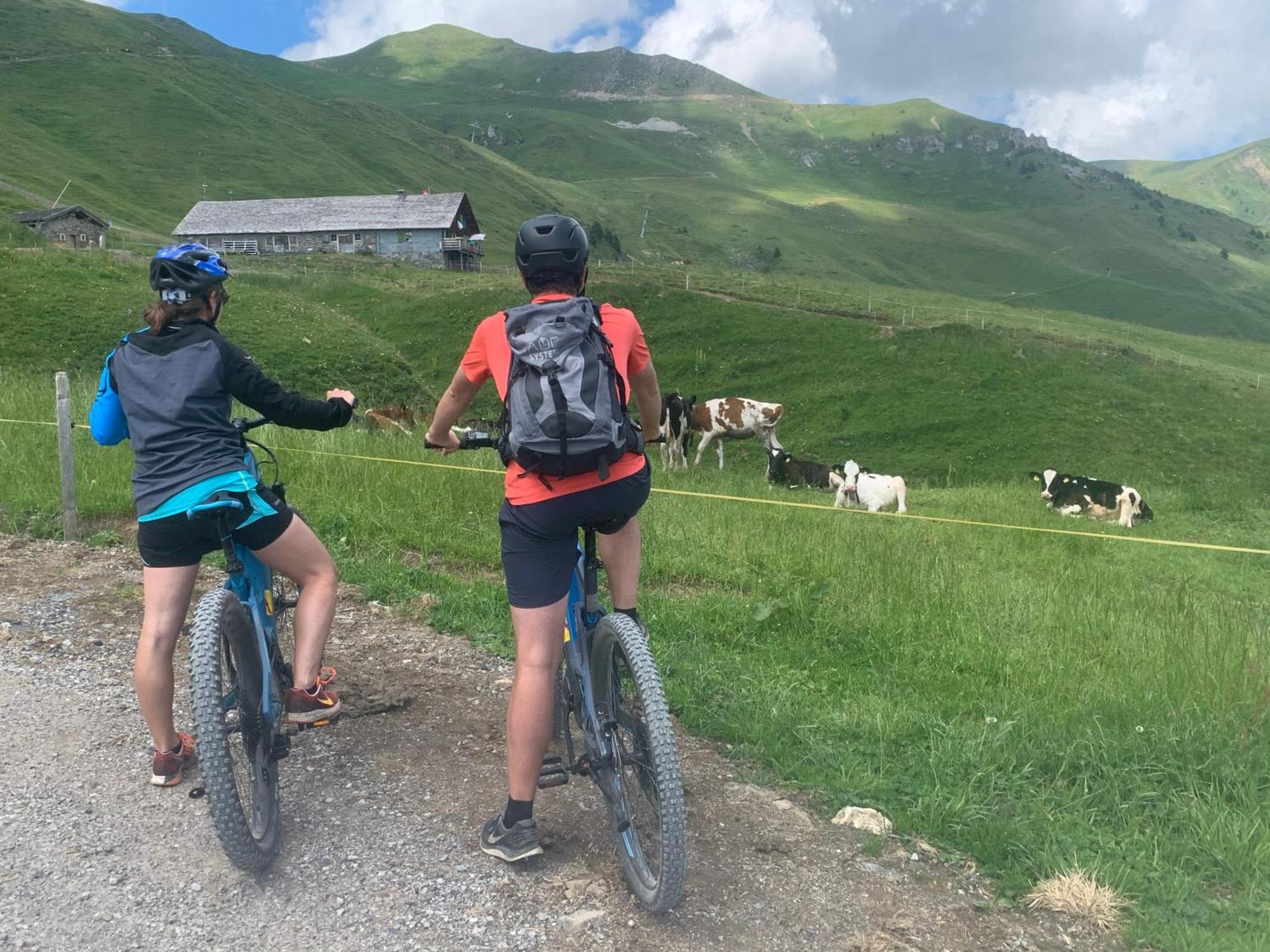 Chalet Montriond - Bike & Ski Les Crosets Exteriér fotografie